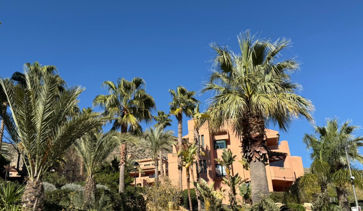 11-los-altos-sierra-cortina-landscaped-gardens